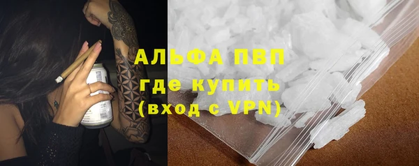 молекула духа Богородск