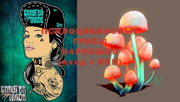 стафф Билибино