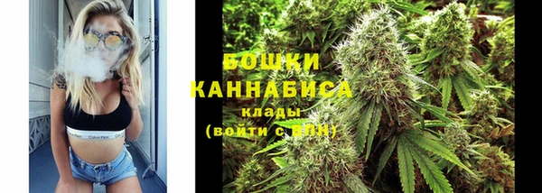 молекула духа Богородск