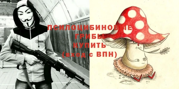 молекула духа Богородск