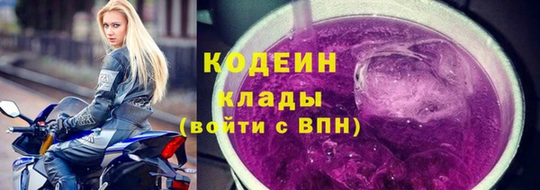 мдпв Богородицк