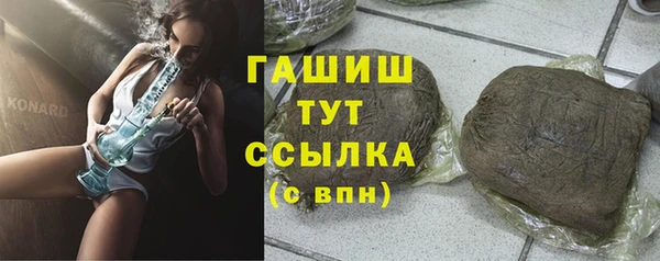индика Белокуриха