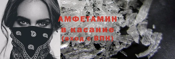 индика Белокуриха