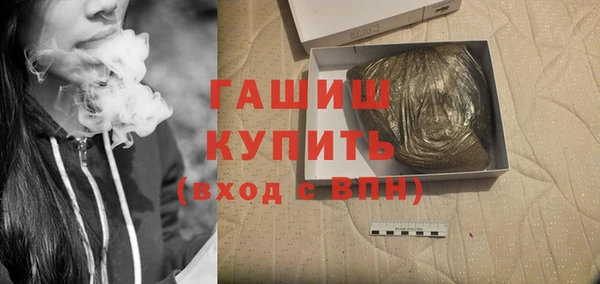 индика Белокуриха