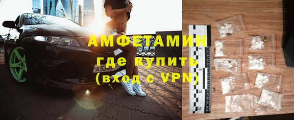 индика Белокуриха