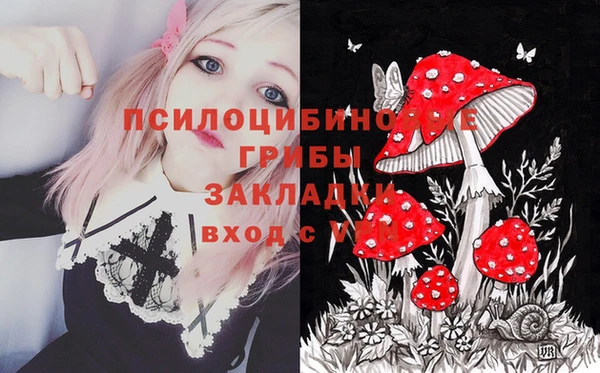 стафф Билибино